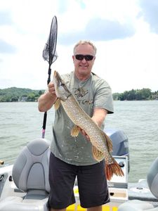A single northern pike fish caught in Wisconsin
