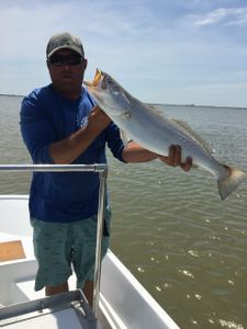 A person fishing in Texas City