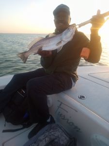 Fishing in Texas City