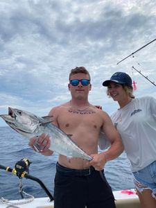 Atlantic Bonito fish caught in NC