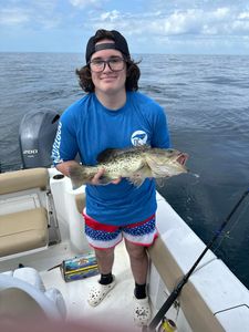 Gag Grouper caught during fishing trip in Wilmington