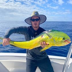 A large mahi mahi fish caught by a lone fisherman in Wilmington