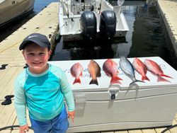 Fish-Species