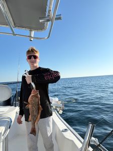 Fish-Species