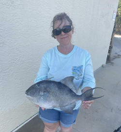 Photograph of a grey triggerfish caught while fishing in FL