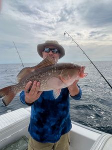 Angler catches a 22-inch Red Grouper in FL