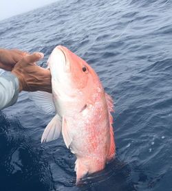 Red Snapper Season! Deep sea fishing in Florida