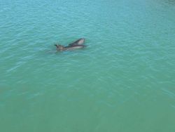 Fishing in Florida