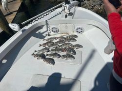 Single fishing hook with one fish in the waters of St James City