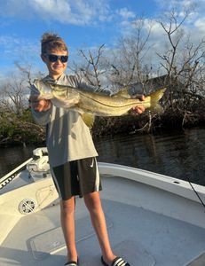 Snook, a big fish caught in FL