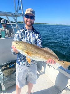 Red Fish Biting