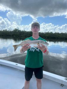 Redfish caught while fishing in St James City