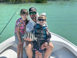 Sheepshead fish caught while fishing in Florida