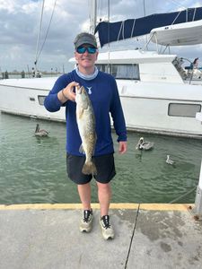 Spotted Weakfish, 19-inch fish caught while fishing in FL