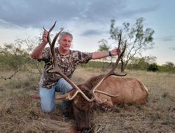 Guided deer hunts in Texas