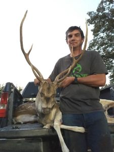 Guided hunts