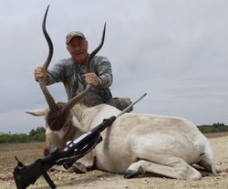 Exotic deer in Texas
