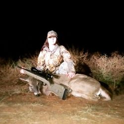 Guided deer hunts