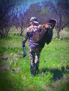 Turkey Adventures in Texas