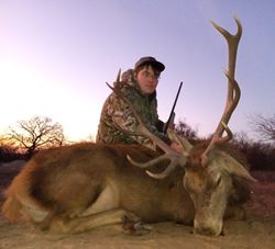 Texas mule deer hunts