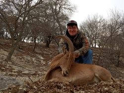 Exotic hunts in Texas