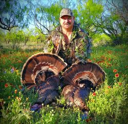 Texas Turkey Hunts