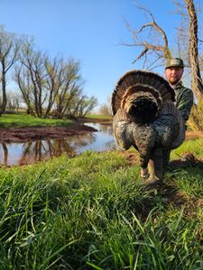 Texas Turkey Hunting