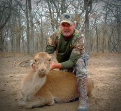 Texas deer hunting outfitters