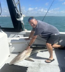Blacktip shark caught during fishing trip in Port Canaveral FL on boat deck