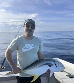 Crevalle jack caught while fishing in Port Canaveral FL