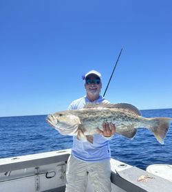 Gag grouper caught while fishing in Port Canaveral FL waters