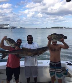 Successful cobia fishing trip in Port Canaveral FL with large catches displayed on boat