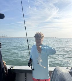 Fishing rod and small caught fish on boat in Port Canaveral FL waters