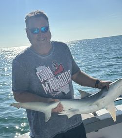Shark fishing catch on boat at Port Canaveral FL