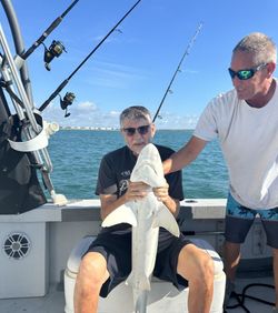 Shark caught during fishing trip at Port Canaveral FL