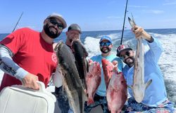 Successful fishing trip in Port Canaveral FL showing caught red snapper and cobia on boat