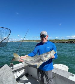 Snook caught while fishing in Port Canaveral FL waters from boat