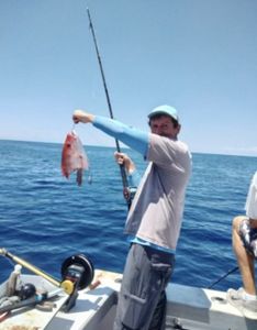 Red snapper catch displayed on fishing boat in Port Canaveral FL waters