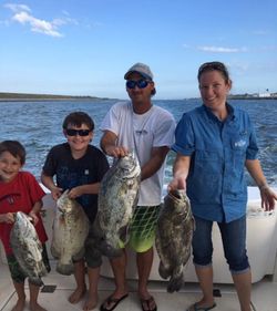 Successful fishing trip in Port Canaveral FL showing multiple tripletail catches on boat deck