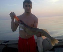 Walleye in Lake Erie