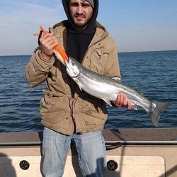 Rainbow trout fish caught in OH