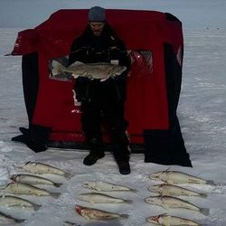 3 fish caught on a fishing trip in OH