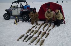 Walleye on Lake Erie