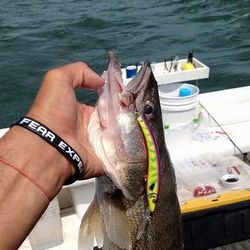 A great fishing trip in OH