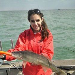 Walleye Fishing in Marblehead, OH