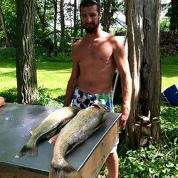 Walleye in Lake Erie