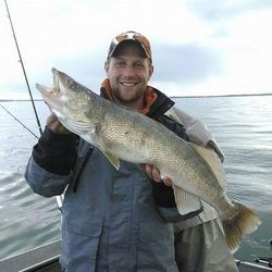 Lake Erie Walleye