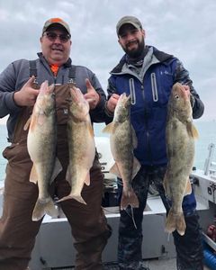 Three big fish caught at Marblehead