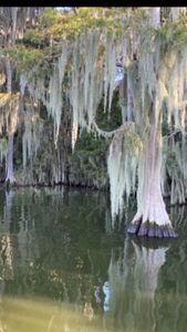 Lake Cruise in Grand Island, FL