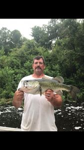 Fishing for Bass in Grand Island, FL